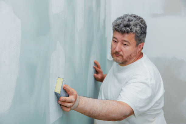 Best Post-Construction Mold Inspection  in Woodland Park, NE